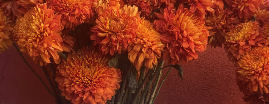 HONRAR Y CONMEMORAR CON FLORES